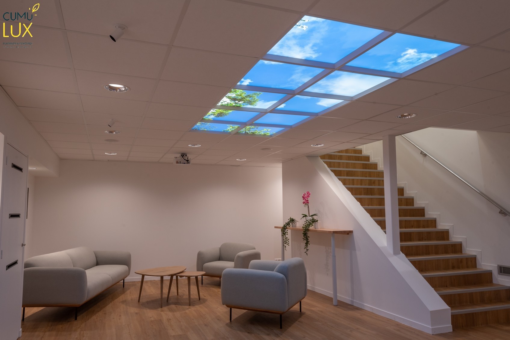 Panneaux ciel led pour un showroom en sous-sol