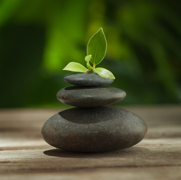 La nature réduit le stress et booste la productivité