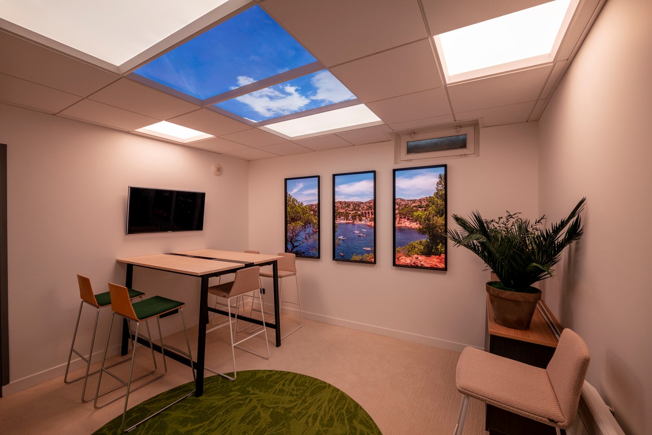 Salle de réunion équipée de plafonds lumineux et fenêtres virtuelles Cumulux